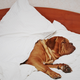 Image for article titled You'll Sleep When The Crushing Loneliness Subsides
